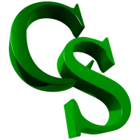 CSEntry CSPro Data Entry